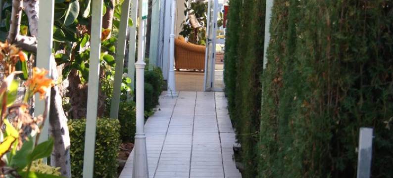 卡内特普拉亚酒店(Hotel Playa Canet)图片