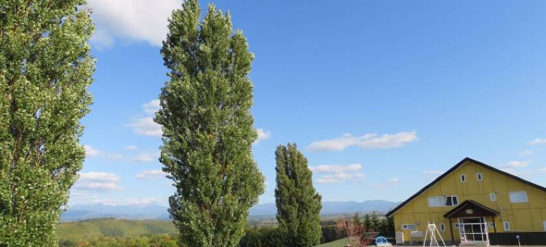 肯和玛丽旅馆(Pension Ken&Mary)图片