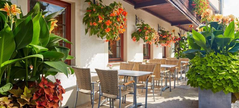 索尼霍夫伽尼酒店(Hotel Garni Sonnenhof)图片