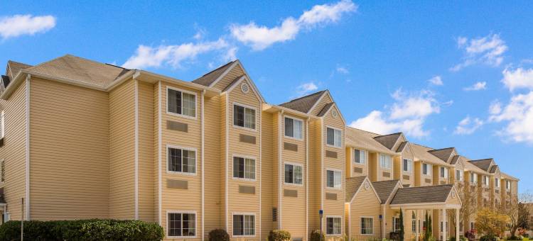 利物浦-多拉山麦客达套房酒店(Microtel Inn & Suites by Wyndham Leesburg/Mt Dora)图片