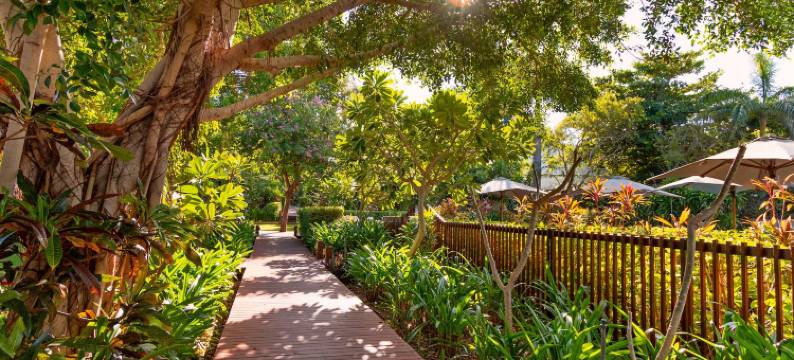 比利旅馆(The Billi Resort)图片