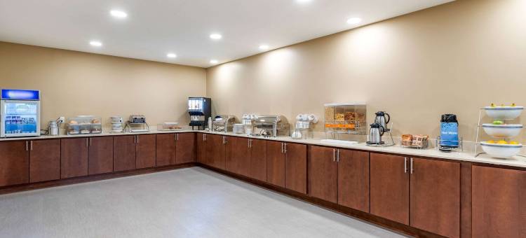 西德梅茵舒适套房酒店(Comfort Inn & Suites West des Moines)图片