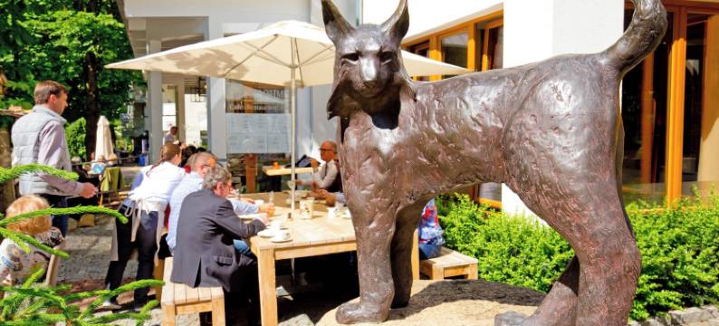 普琳布斯艾赫斯酒店(Plumbohms Echt-Harz-Hotel)图片