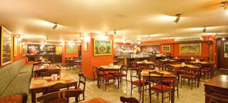 戴瑞尔中央会议酒店(Dayrell Hotel e Centro de Convenções)图片