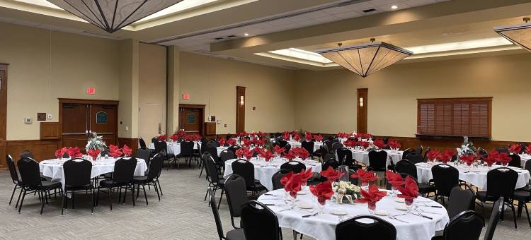 维塞利亚温德姆酒店(Wyndham Visalia)图片