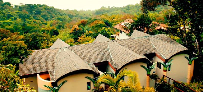 矽科莫野生动物保护区温泉酒店(Si Como No Resort & Wildlife Refuge)图片