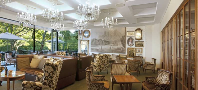 葡萄园酒店(Vineyard Hotel)图片