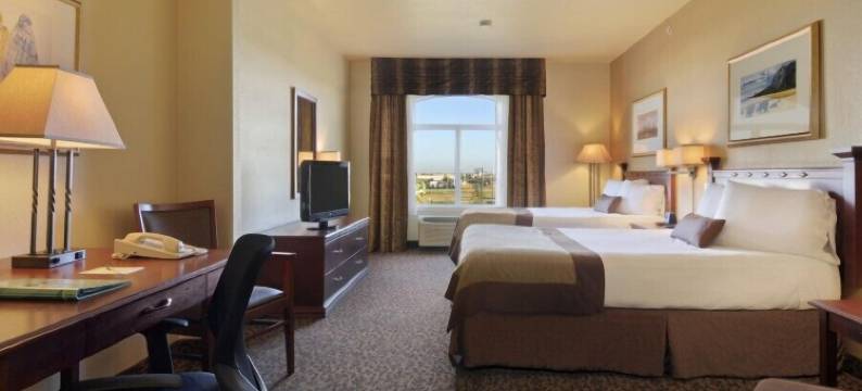 埃德蒙顿西蔚景温德姆酒店(Wingate by Wyndham Edmonton West)图片