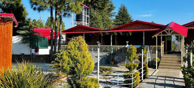 查尔高地酒店及度假村(The Chail Heights Hotel and Resort)图片