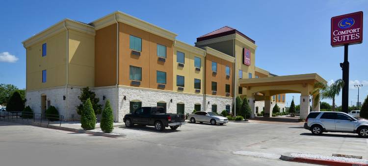 舒适套房酒店(Comfort Suites Bay City)图片