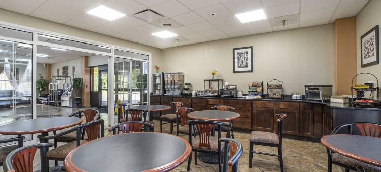 芒特普莱森特戴斯套房酒店(Days Inn & Suites by Wyndham Mt Pleasant)图片