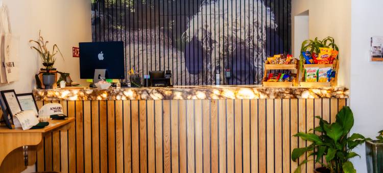 安戈里亚酒店(Angoria Hotel)图片