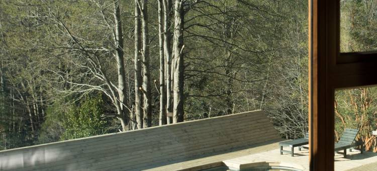 尼纽恩小屋(NI-Newen Hotel & Lodge)图片