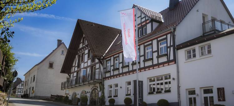 安托尼斯舒特酒店(Hotel Antoniushütte)图片