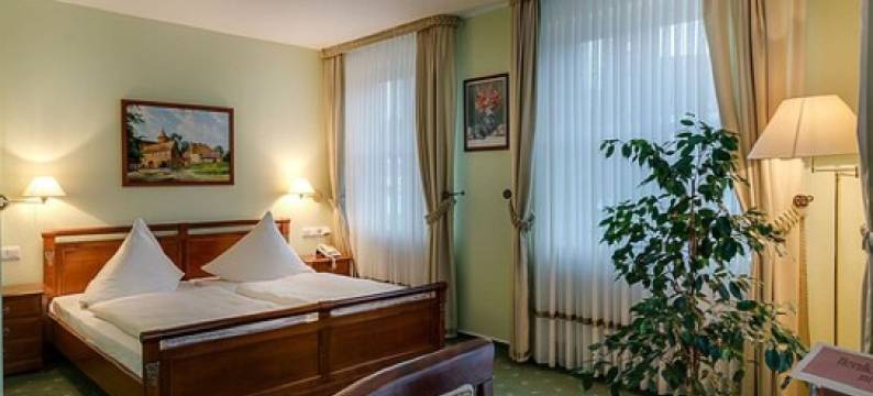 祖尔城堡酒店(Hotel Zur Burg Gmbh)图片