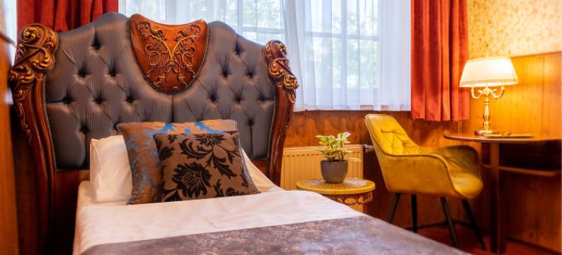 汉莎酒店(Hansa Hotel)图片