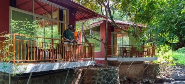 Nature Hill的LeafyDen森林小屋(Leafyden Forest Cottages)图片