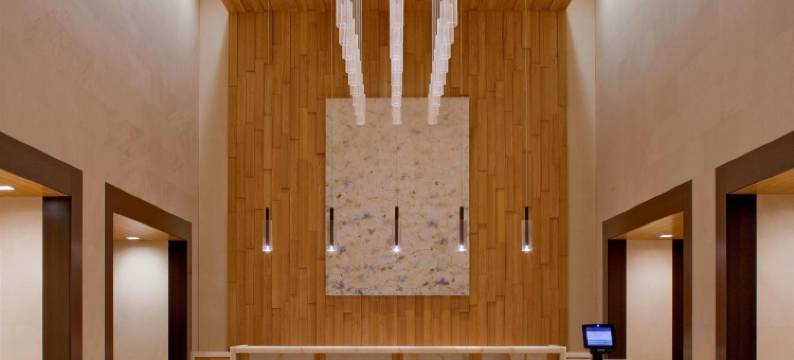 Hyatt酒店-奥利弗8号(Hyatt at Olive 8)图片