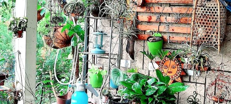 Nasun背包客棧图片