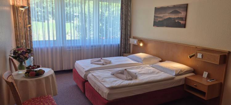 奥泊维森塔尔全景酒店(Panorama Hotel Kurort-Oberwiesenthal)图片