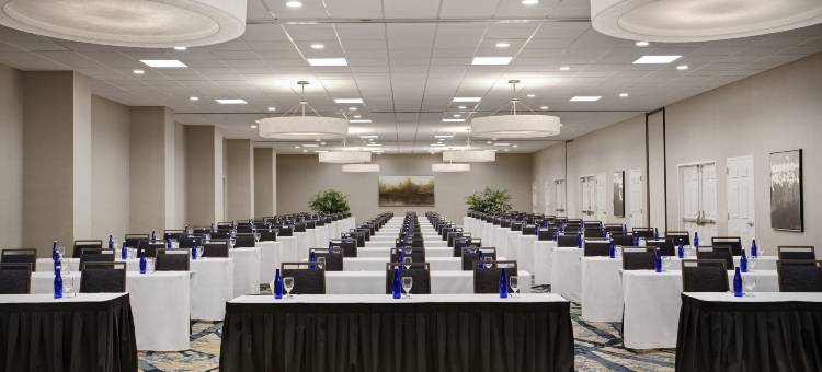 奥兰多国际大道南会议中心安泊套房酒店(Embassy Suites by Hilton Orlando International Drive Convention Center)图片