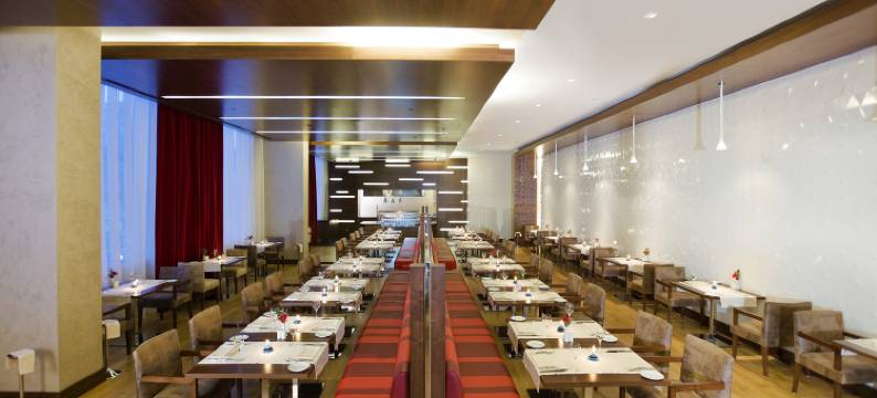 屈塔希亚希尔顿花园酒店(Hilton Garden Inn Kutahya)图片