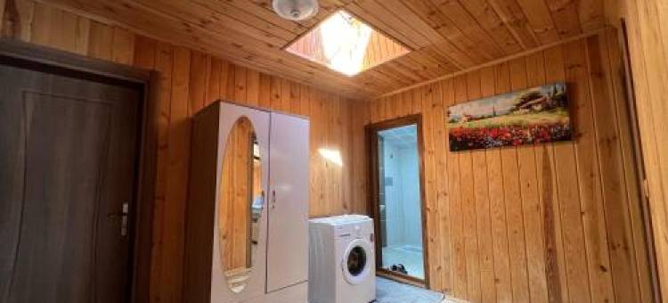 迪莱克公寓酒店(Uzungöl Dilek Pansiyon)图片