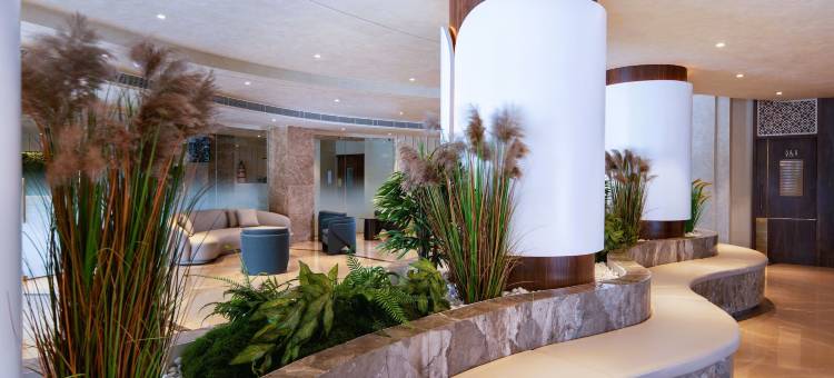 卡利卡特 Oshin(Oshin Calicut)图片