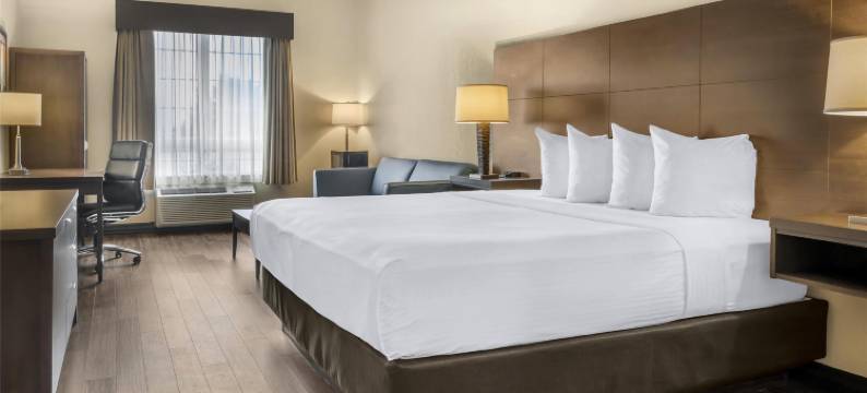 圣约翰贝斯特韦斯特优质套房酒店(Best Western Plus Saint John Hotel  Suites)图片