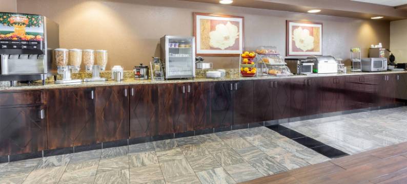 乔利埃特蔚景温德姆酒店(Wingate by Wyndham Joliet)图片