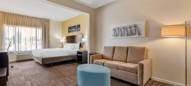 舒眠旅馆及套房威斯康星拉皮兹(Sleep Inn & Suites)图片