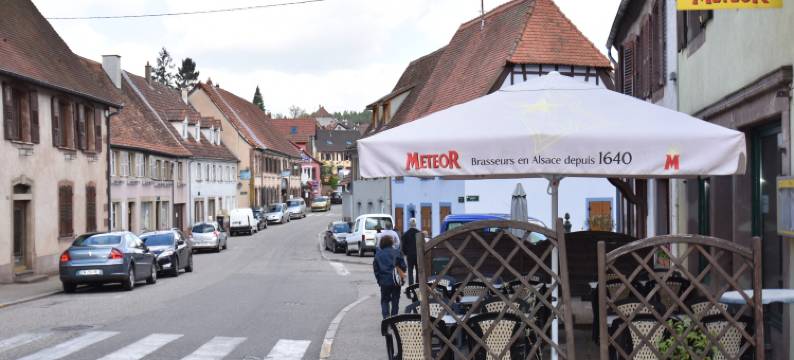 Wheelchair-Friendly Escape图片