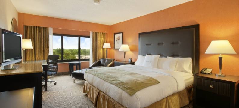 斯普林菲尔德希尔顿逸林酒店(DoubleTree by Hilton Hotel Springfield)图片