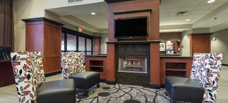 印第安纳波利斯/布朗斯堡欢朋套房酒店(Hampton Inn & Suites Indianapolis/Brownsburg)图片