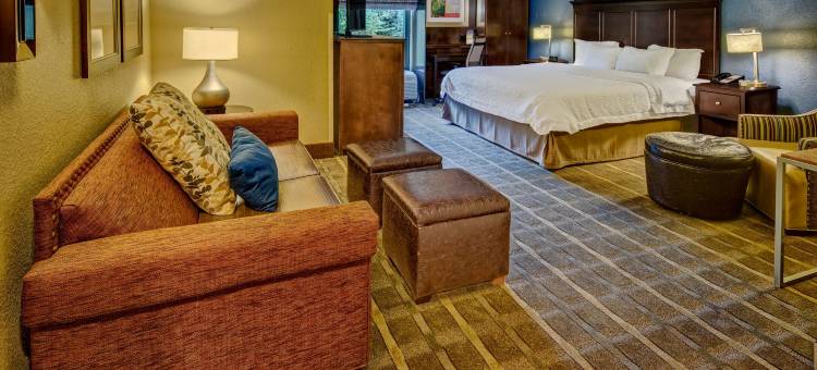 诺克罗斯-桃树角欢朋酒店(Hampton Inn Peachtree Corners/Norcross)图片