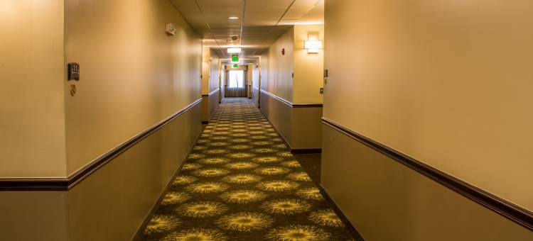 Staybridge Suites SCHERERVILLE by IHG图片