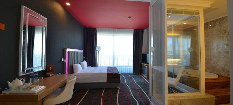 安卡拉坎卡亚丽柏酒店(Park Inn by Radisson Ankara Cankaya)图片