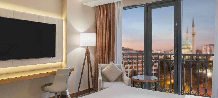 安卡拉基济莱美居酒店(Mercure Ankara Kizilay)图片