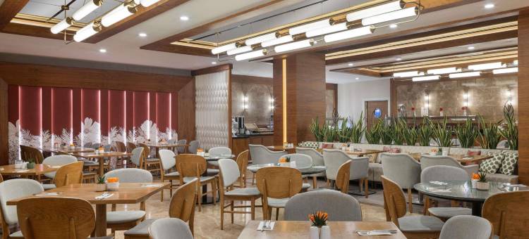 安卡拉基济莱美居酒店(Mercure Ankara Kizilay)图片