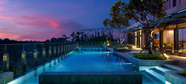 努桑塔拉瑞士酒店(Swissotel Nusantara)图片