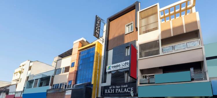 Treebo RKH 宫殿(Treebo Rkh Palace)图片
