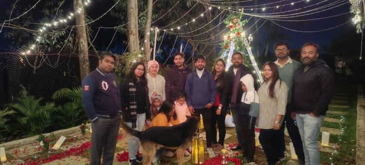 萨马尔达丛林度假村(Samardha Jungle Resort)图片