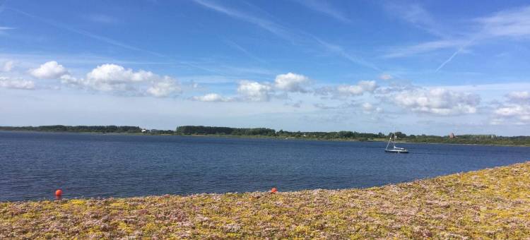 奥尔堡四星级度假屋(4 star holiday home in Aalborg)图片
