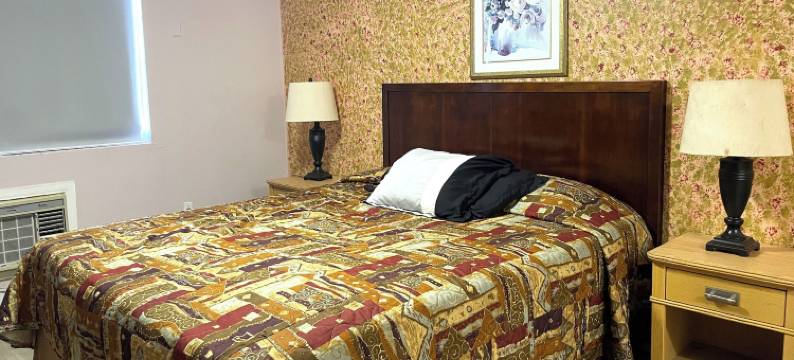 特拉维尔旅馆(Travel Inn Downtown La)图片