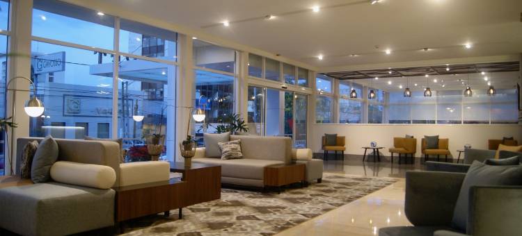 天鹅绒广场酒店(Hotel Velvet Plaza)图片