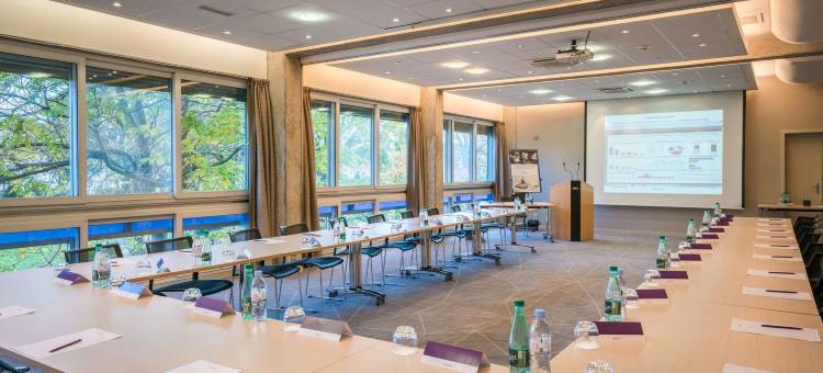 米卢斯中心美居酒店(Hôtel Mercure Mulhouse Centre)图片