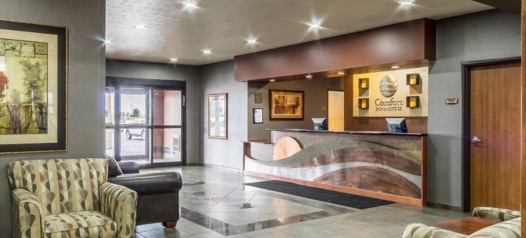 舒适酒店及套房米切尔I-90(Comfort Inn & Suites Mitchell I-90)图片