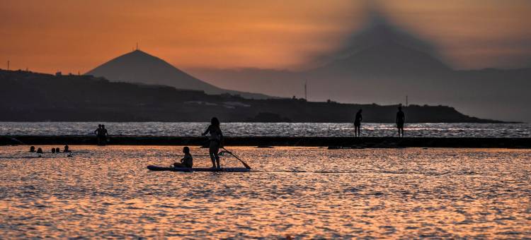 热带工作旅舍(Hostel Tropical Work)图片