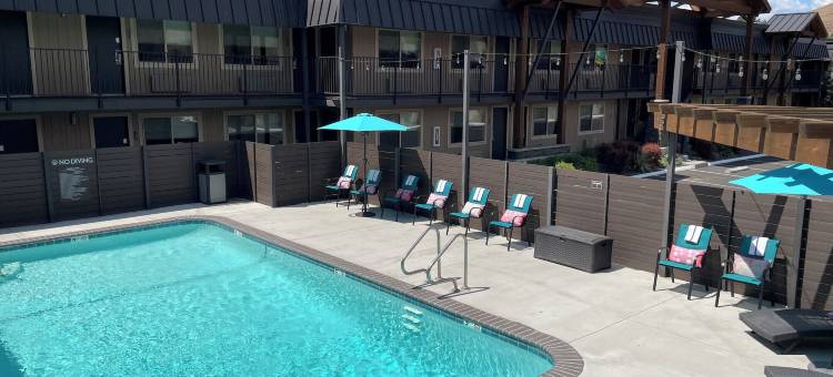 Y 酒店(The Hotel Y)图片