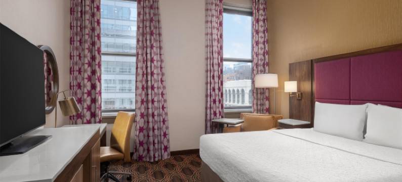 美琪芝加哥剧院区欢朋酒店(Hampton Inn Majestic Chicago Theatre District)图片